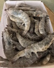 卖鱼郎先生青岛盐冻大虾净重3斤 15-20只/斤 白虾大虾基围虾生鲜 虾类 实拍图