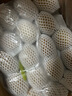 佳沛（zespri）佳沛奇异果新西兰进口阳光金果【JD顺丰-送货上门】黄心猕猴桃 【原箱】优选 22颗 单果约145g-175g 实拍图
