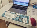 CHERRY樱桃KC200机械键盘 办公游戏两用键盘 电脑键盘机械 蓝白拼色客制化键盘 PBT键帽 有线键盘 茶轴 实拍图