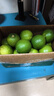 塔希提无籽青柠檬薄皮新鲜现摘青柠香水柠檬薄皮奶茶店专用包邮 【20个】塔希提青柠檬 单果50g 晒单实拍图