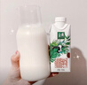 伊利金典纯牛奶整箱 200ml*12盒 3.6g乳蛋白 原生高钙 礼盒装 实拍图