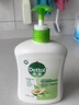 滴露（Dettol）洗手液松木500g瓶 健康抑菌消毒非补充装 儿童家庭用清爽去油 实拍图