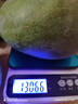 庾丰 海南应季新鲜芒果 整箱当季现摘孕妇热带水果大青 皮芒果 10斤装（净果8.5-9斤）单果300g+ 实拍图