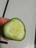 京喜加新鲜无刺水果小黄瓜小青瓜脆甜荷兰脆嫩生吃黄瓜蔬菜 水果黄瓜 3斤 带箱 实拍图