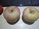 探味君 正宗大凉山丑苹果 当季时令新鲜水果四川冰糖心苹果红富士 生鲜 净重4.5-5斤 单果70mm-75mm 实拍图