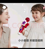 babycare音乐话筒儿童无线麦克风卡拉ok唱歌机带扩音蓝牙款生日礼物浅嗬绿 实拍图