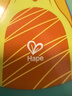Hape(德国)儿童户外手抛飞碟回旋镖运动软飞盘嗨皮狗男女孩玩具E8760 实拍图