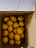 玖原农珍 赣南脐橙当季现摘橙子净重9斤优选果单果150-220g 新鲜水果礼盒 实拍图
