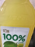 汇源100%阳光柠檬混合果汁2000ml*1瓶大桶饮料饮品中秋送礼量贩卡曼橘 实拍图