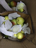 棠鲜生新疆库尔勒香梨全母梨子新鲜孕妇水果整箱10斤特级大果多汁 9斤 爆甜多汁[特大果]精选商超品质 实拍图