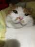 LEGENDSANDY蓝氏猫粮猎鸟乳鸽全价猫粮冻干生骨肉成猫幼猫通用型1斤装试吃 猎原乌鸡1斤装【均衡营养】 实拍图