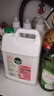 滴露（Dettol）洗手液补充装大桶消毒滋润5L 儿童家庭装杀菌护手 实拍图