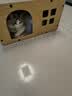 梵都宠舍猫抓板瓦楞纸双层设计猫玩具猫房子猫窝 实拍图