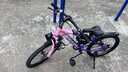 飞鸽儿童自行车6-8-10-12岁青少年自行车学生12到18岁变速山地自行车 单速-辐条轮-渐变紫-98%已安装 20寸【适合身高130cm-155cm】 实拍图