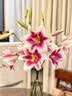 京东鲜花花瓶玻璃北欧轻奢简约透明水养富贵竹百合直筒玻璃插花瓶摆件7039 实拍图