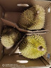 京鲜生 进口金枕头榴莲 2-4个装 总净重14斤以上 鲜果 生鲜 新鲜水果 实拍图