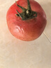 京鲜生 山东普罗旺斯西红柿 净重3斤  单果90g+ 沙瓢番茄 源头直发 实拍图