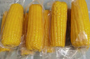 十月稻田 黄糯玉米 3.52斤(220g*8根) 25年新玉米 低脂 早餐零食 东北玉米 实拍图