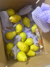 京地达东北茄梨 放软吃酸甜净重4.5斤单果120g+大头梨啤梨源头直发包邮 实拍图