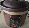 九阳（Joyoung）电炖锅电炖盅电砂锅炖汤盅煲汤锅多功能锅紫砂锅燕窝炖盅煮粥锅直炖4L大容量 可预约保温GD410 实拍图