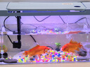 鹦鹦怪鱼缸客厅塑料中小型金鱼缸亚克力生态缸斗鱼缸家用新款智能溪流缸 45蓝色专业套餐（彩灯+过滤增氧二合一） 实拍图