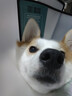 憨憨乐园伊丽莎白圈宠物耻辱圈狗狗猫咪猫头套项圈宠物脖套防咬圈用品2号 实拍图