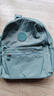 双星双肩包女士背包百搭尼龙牛津布妈咪户外出行旅游小背包 水蓝色 实拍图