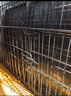 宠乐乖（CHONGLEGUAI）狗笼猫笼狗笼子中小型犬带厕所幼犬折叠便携猫笼子猫咪兔笼700ZG 实拍图