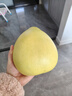 梅州红肉蜜柚白心柚子红柚子新鲜水果碌柚万澄非沙田柚非三红柚 梅州白肉蜜柚 【试吃】蜜柚1粒 净重1.4-1.8斤 实拍图