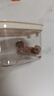 甜心屋0糖话梅135g*1盒 无防腐剂缓解孕吐酸味休闲健康轻零食 蜜饯果干 实拍图