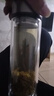 【⭐京东物流配送】高硼硅双层玻璃杯大容量泡茶杯水杯子茶水分离 【双层加厚】茶杯 350ml 1只 实拍图