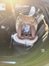 袋鼠爸爸儿童安全座椅0-12岁360度旋转新生儿车载汽车座椅星途系列星途pro 星途pro流沙金 实拍图