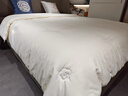 红豆A类正宗新疆棉花被子纯棉花被芯无异味加厚单人双人家用宿舍冬被 白蓝【真A类-正宗新疆棉花被】 200x230cm约6斤【春秋被】 实拍图