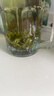 福茗源 茶叶 花草茶 小叶苦丁茶叶 新茶峨眉山青山绿水嫩芽单叶袋装250g 实拍图