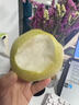 爱鲜摘农场正宗山西玉露香梨5/10斤梨子新鲜水果顺丰礼盒当季整箱香酥梨雪梨 7A 精选果 |单果200-250g【很甜】 5斤装【爆款主推-80%选择】巨划算 实拍图