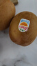 佳沛（zespri）新西兰  阳光金奇异果巨大果22粒原箱 单果重约144-175g 猕猴桃 实拍图