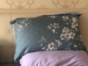艾薇枕头套枕套一对纯棉家用全棉单人枕套枕芯套 青馨花园 48*74cm 实拍图