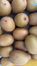 佳沛（zespri）新西兰  阳光金奇异果10粒礼盒巨大果单果约144-175g 水果 猕猴桃 实拍图