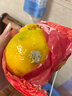 正宗四川不知火丑橘耙耙八怪黄皮桔子柑当季新鲜时令水果整箱 净果5斤 果径80-85mm及以上 普通快递 实拍图