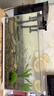 森森 超白玻璃小鱼缸HWK-600P裸缸款水草缸金鱼缸小型水族箱水草缸  实拍图