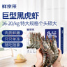 鲜京采 巨型黑虎虾 去冰净重3斤 24-30只/盒 源头直发 包邮 实拍图