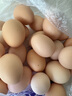筱诺 新鲜土鸡蛋 笨鸡蛋 柴鸡蛋  现捡现发破损包赔  单枚40±5g 12枚鸡蛋 实拍图