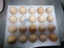 京鲜生鲜鸡蛋20枚/盒 健康轻食 营养健康 2斤/盒 源头直发  实拍图