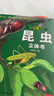 揭秘立体翻翻书昆虫立体书 儿童3D立体书科普百科绘本故事书 动手动脑益智玩具 少儿百科全书漫画版科普本故事书 揭秘神秘昆虫王国 实拍图
