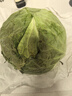 京鲜生山东新鲜绿甘蓝净重5斤单果200g+卷心菜甘蓝新鲜蔬菜 源头直发 实拍图