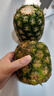 都乐Dole 菲律宾无冠凤梨 菠萝 中果2个*800g起 酸甜可口源头直发包邮 实拍图