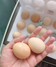 京鲜生 无抗保洁鲜鸡蛋30枚/盒 健康轻食 礼盒送礼 1.5kg/盒 源头直发 实拍图