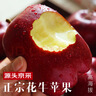 花牛 天水花牛苹果 TIANSHUI HUANIU APPLE 当季现摘粉面红苹果 新鲜水果整箱 孕妇 宝宝辅食 团购送礼 蛇果 5斤装（净果5-4.5斤）单果80mm+ 实拍图