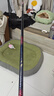 达亿瓦（DAIWA） 新款 一击樱 综合休闲手杆台钓竿轻碳素进口钓鱼竿钓杆 垂钓装备 F-4.5米 实拍图