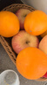 玖原农珍 赣南脐橙当季现摘橙子净重9斤优选果单果150-220g 新鲜水果礼盒 实拍图